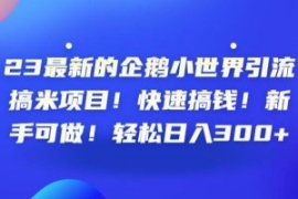 23最新的企鹅小世界引流搞米项目...