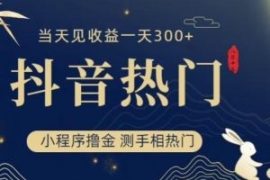 抖音最新小程序撸金，测手相上热...