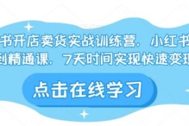 小红书开店卖货实战训练营，小红...