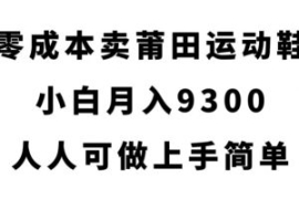 零成本卖莆田运动鞋，小白月入93...