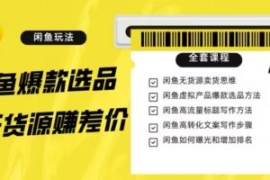 闲鱼无货源赚差价进阶玩法，爆款...