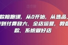 淘系爆款陪跑课，从0开始，从选...