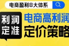 8大体系利润篇·利润定准电商高...