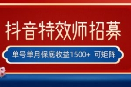 全网首发抖音特效师最新玩法，单...