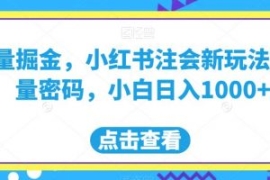 流量掘金，小红书注会新玩法，流...