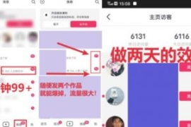 全网首发，日引500+男粉美女视频...
