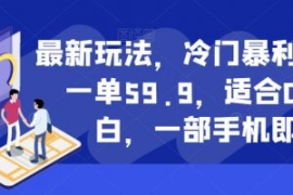 最新玩法，冷门暴利项目，一单59...