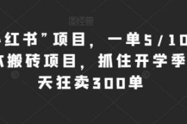 新“小红书”项目，一单5/10元，...