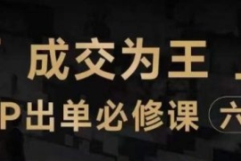 抖音知识IP直播登顶营（六合一）...