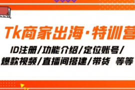 Tk商家出海·特训营：ID注册/功...