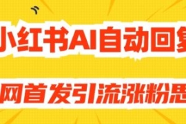 【原创开发】小红书AI自动回复，...
