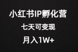 价值2000+的小红书IP孵化营项目...