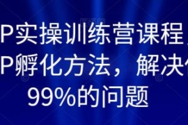 百万IP实操训练营课程，完整的IP...