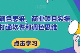 达芬奇调色思维，商业项目实操，...