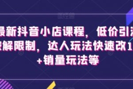 最新抖音小店课程，低价引流破解...