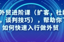 凤姐外贸进阶课（扩客，社媒，沟...