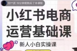小红书电商运营基础课，新人小白...