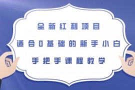 全新红利项目，适合0基础的新手...