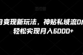 B站项目变现新玩法，神贴私域流0...