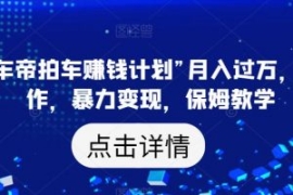 靠“懂车帝拍车赚钱计划”月入过...