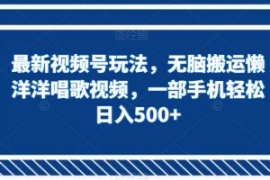 最新视频号玩法，无脑搬运懒洋洋...