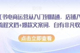 小红书电商运营从入门到精通，店...