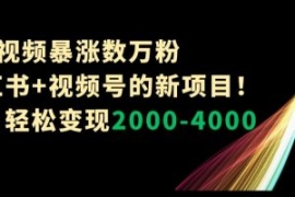1条视频暴涨数万粉–小红书+视频...