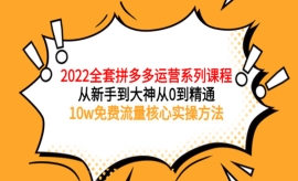 《第193期》2022全套拼多多运营...