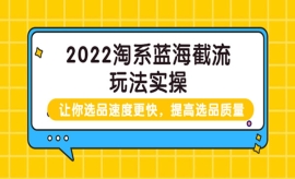 《第149期》2022淘系蓝海截流玩...