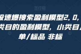 淘系极速爆搜索盈利模型2.0，淘...