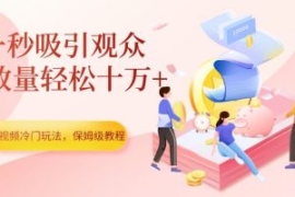 中视频冷门玩法，一秒吸引观众，...