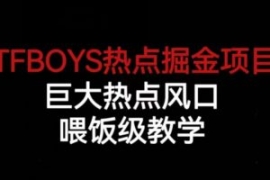TFBOYS热点掘金项目，巨大热点风...