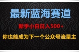 最新蓝海赛道，新手小白日入500+...