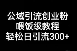 公域引流创业粉，喂饭级教程，轻...