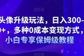 AI头像升级玩法，日入300-500+，...