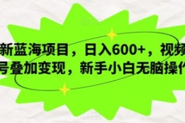 新蓝海项目，日入600+，视频号叠...
