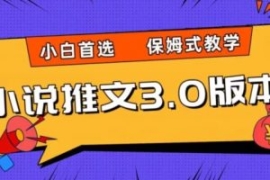 小说推文3.0玩法，日入两千+，保...