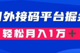 通过国外接码平台掘金：成本1.3...