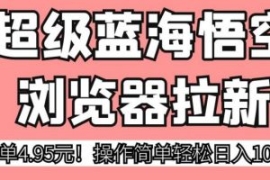 超级蓝海悟空浏览器拉新，一单4....
