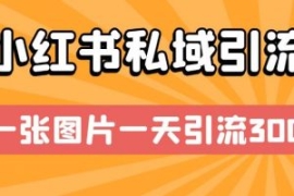 小红书私域引流，一张图片一天引...