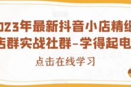 2023年最新抖音小店精细化店群实...