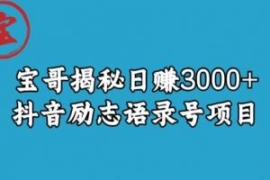 宝哥揭秘日赚3000+抖音励志语录...