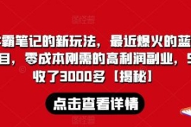 学霸笔记的新玩法，最近爆火的蓝...