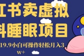 小红书卖虚拟资料睡眠项目，一单...