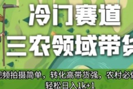 冷门赛道三农领域带货，视频拍摄...