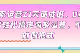 淘系运营21天速成班，0基础轻松...