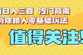 最新日入三百，冷门高需求消除路...