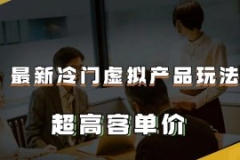 最新冷门虚拟产品玩法，超高客单...