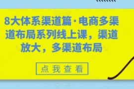 8大体系渠道篇·电商多渠道布局...