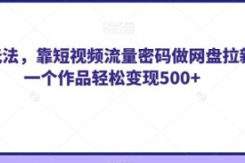 纯绿玩法，靠短视频流量密码做网...
